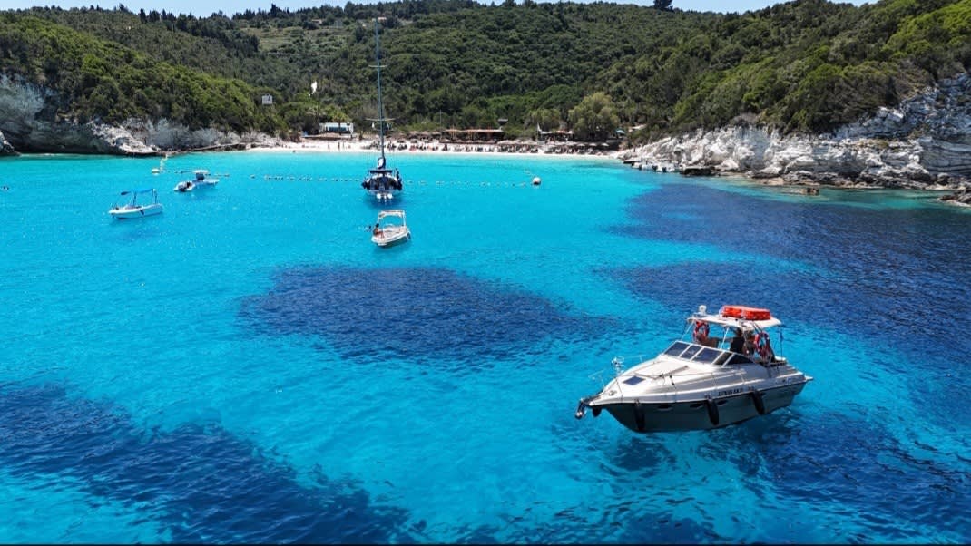 Cover of activity #24308