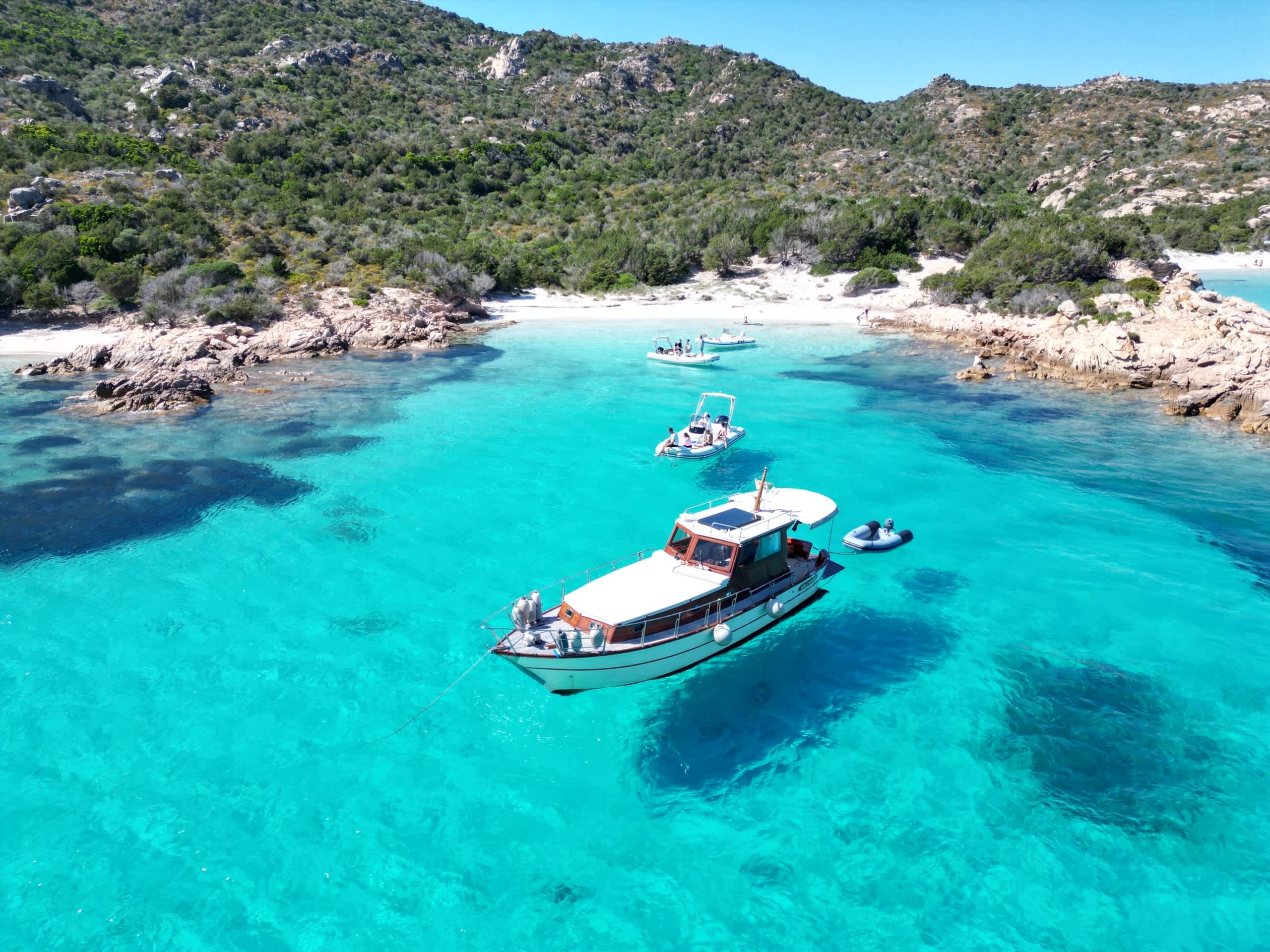 Cover of activity #28934