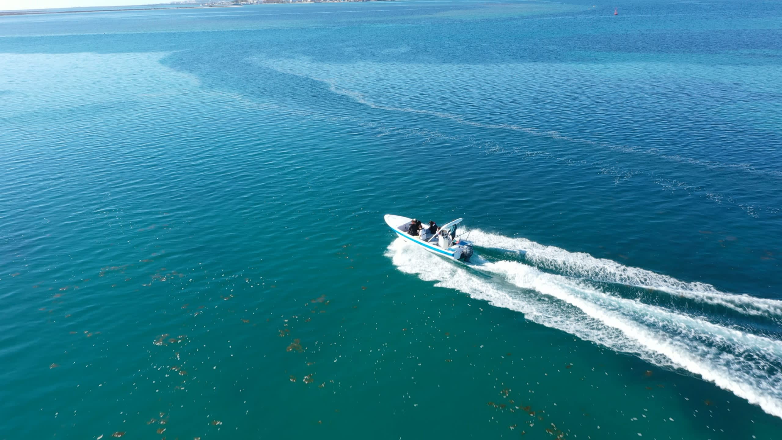 Cover of activity #28868