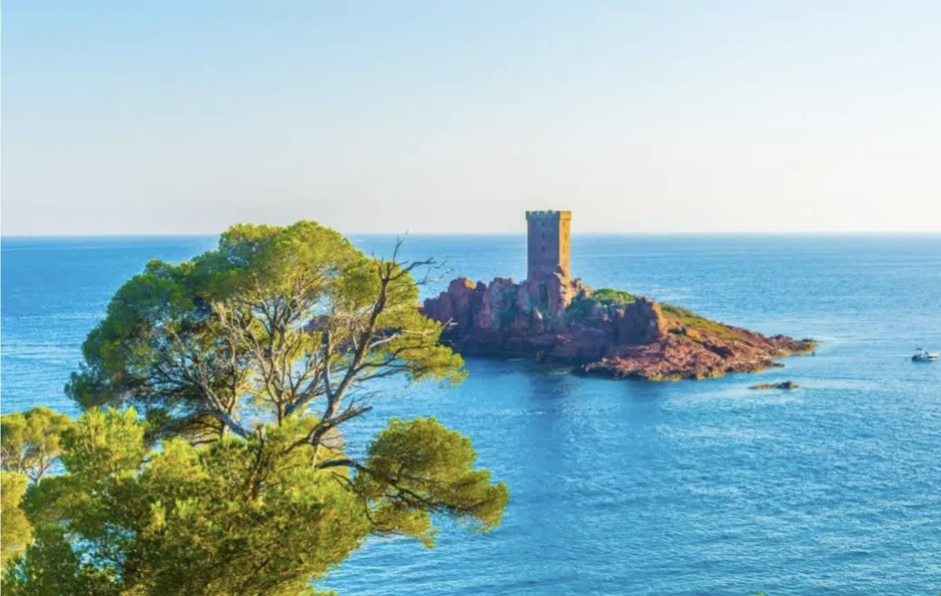 Cover of activity #24423