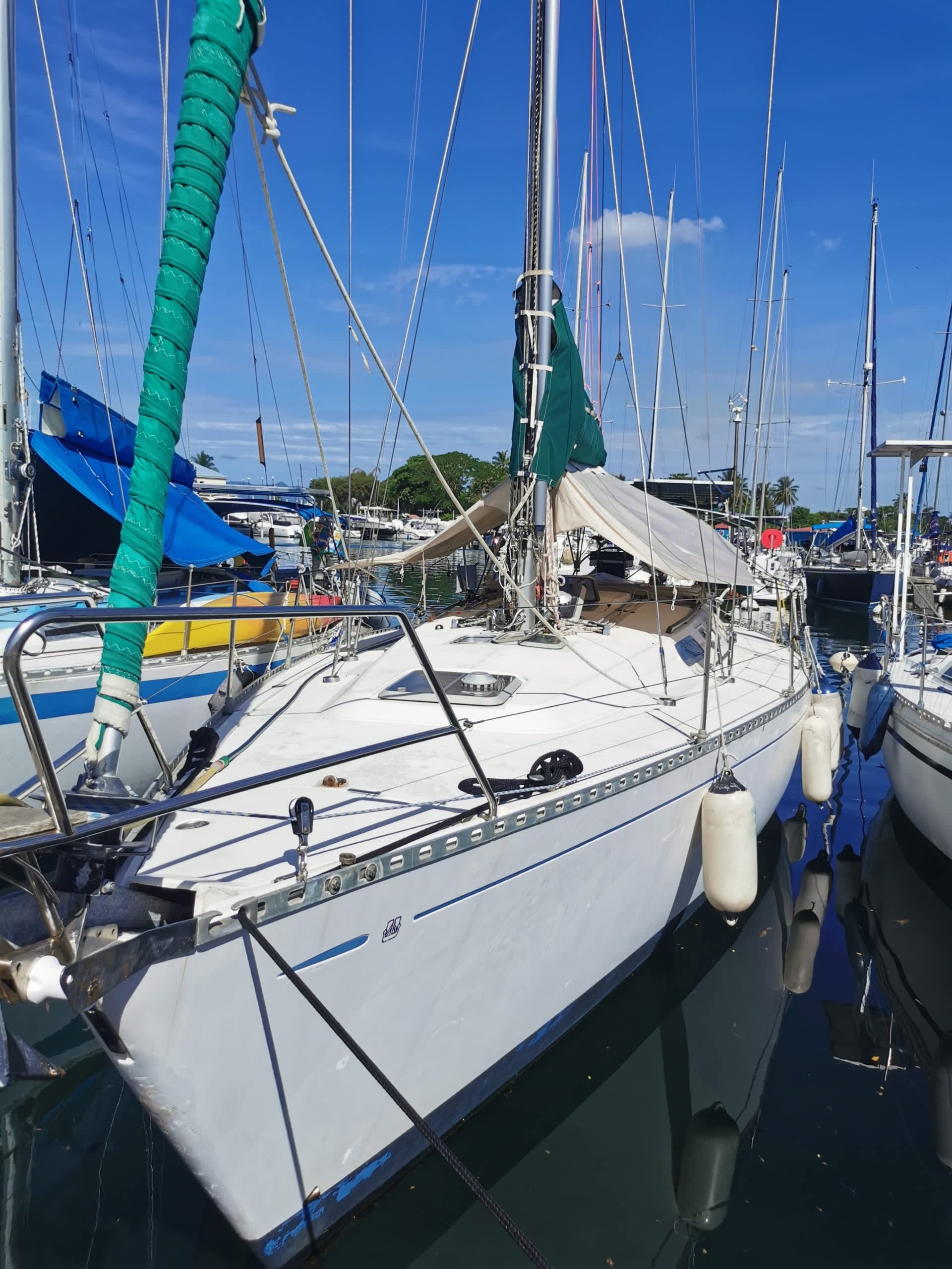 Cover of activity #28823