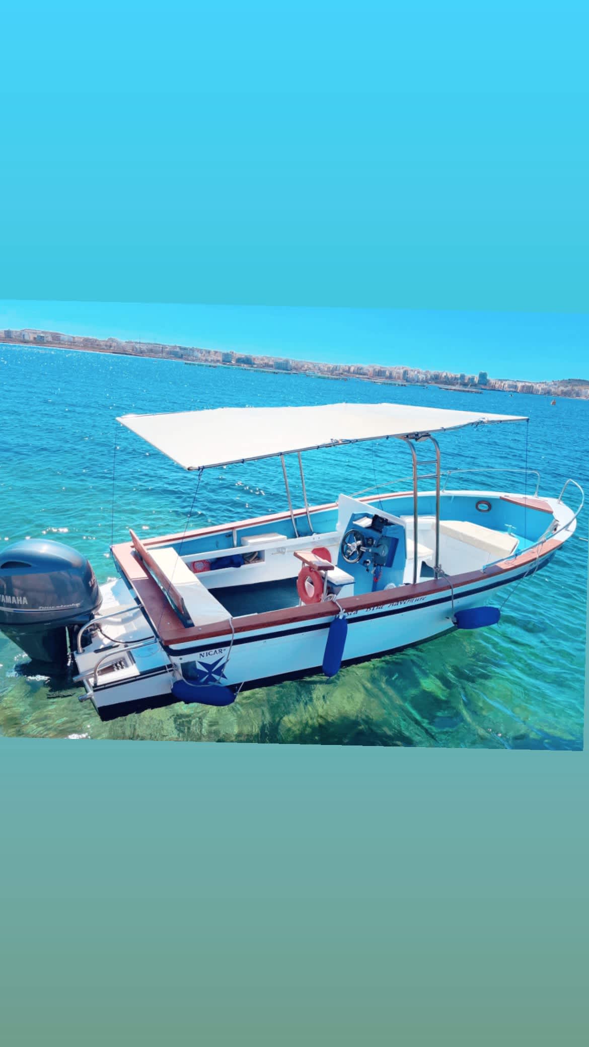 Cover of activity #24852