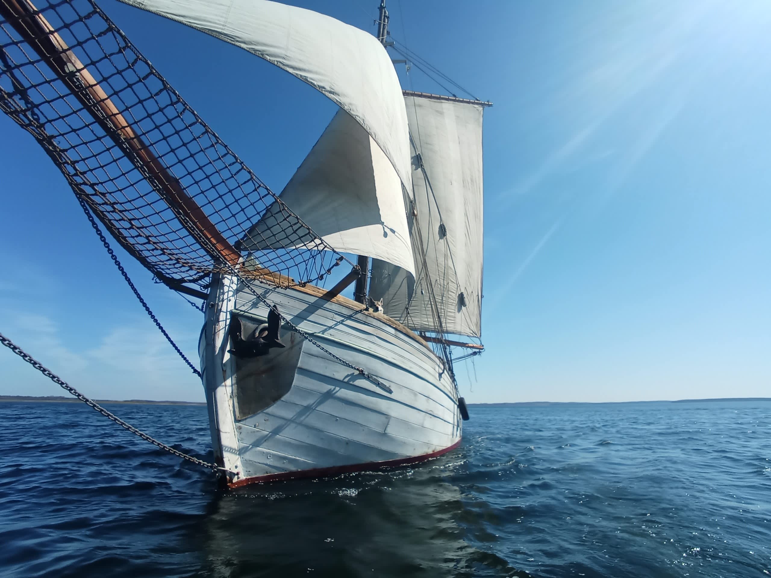 Sail into the extraordinary: A full day of laughter and wind in Flensburg on a sailboat