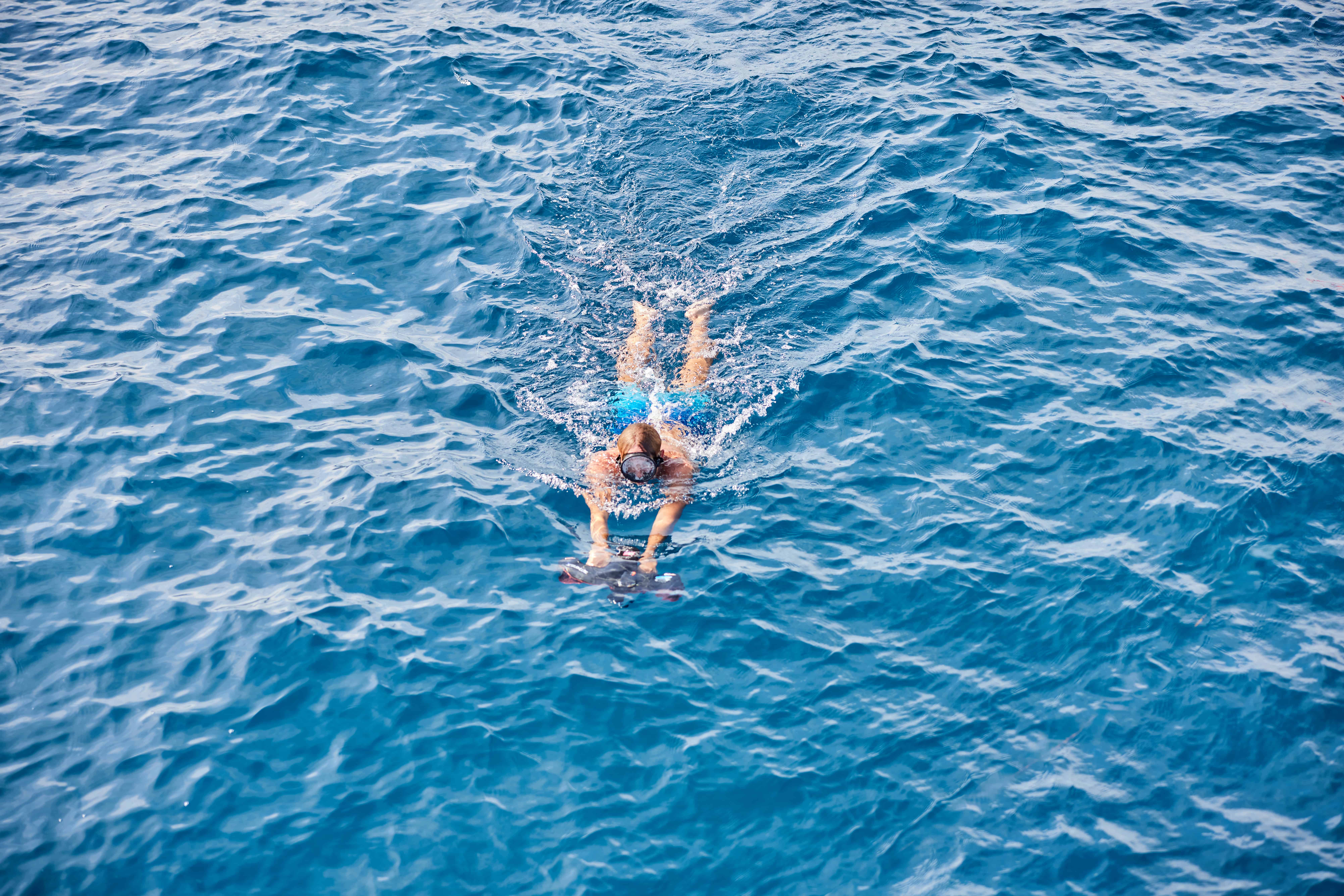 Cover of activity #1350