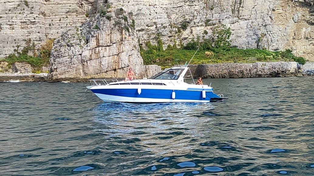 Cover of activity #24480