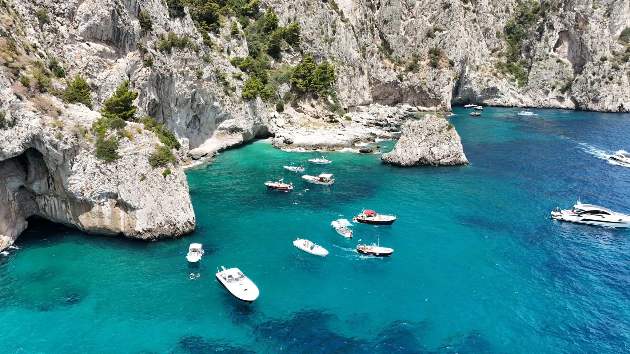 Cover of activity #4003