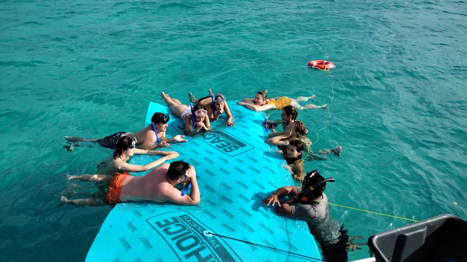 Cover of activity #25049