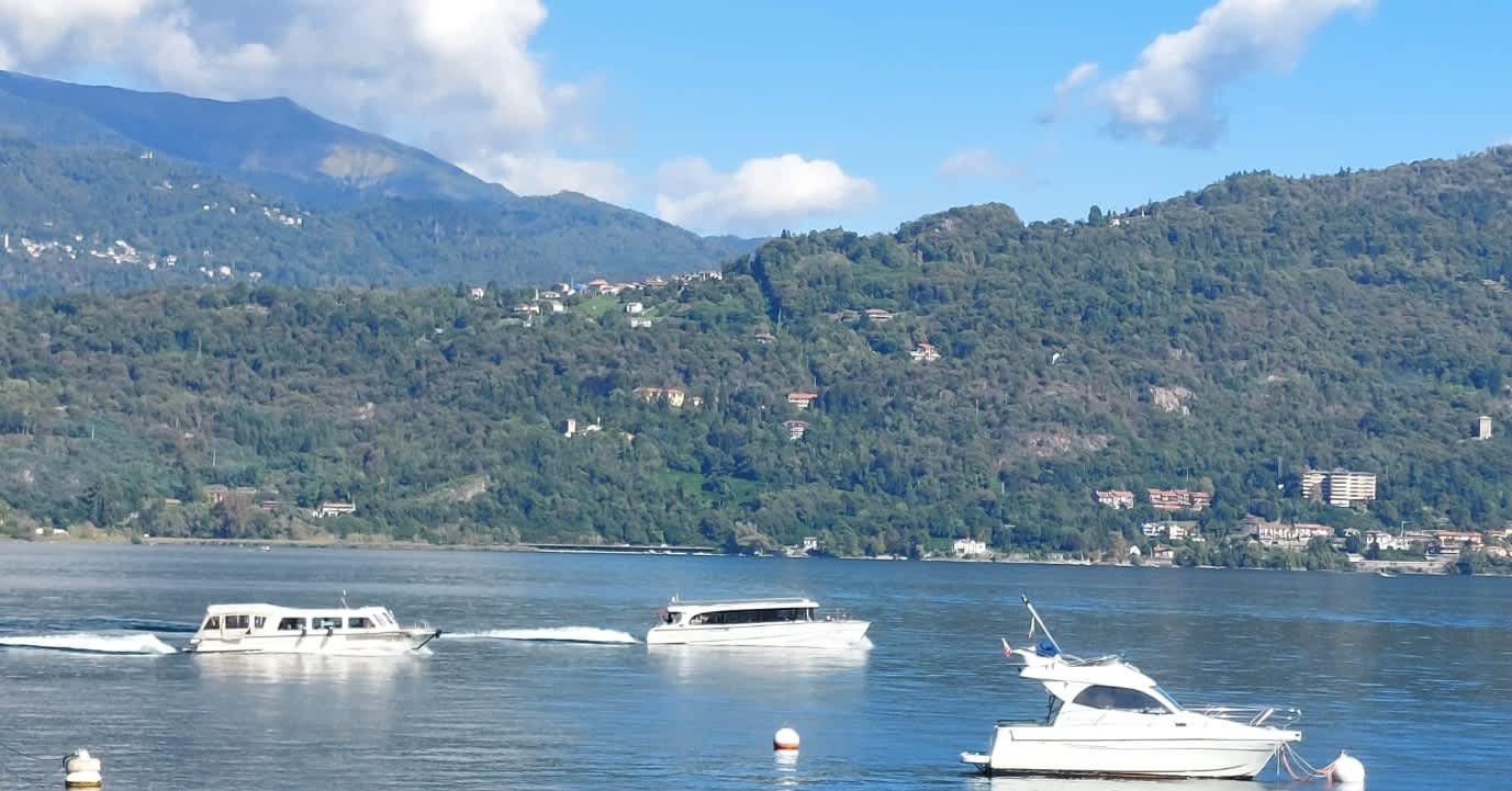 Cover of activity #2966