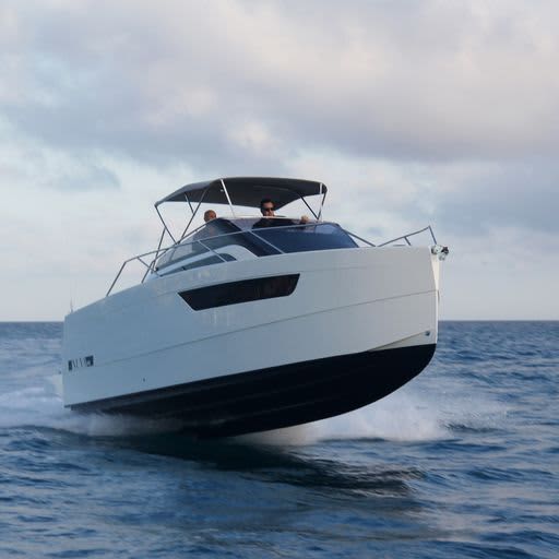 Cover of activity #24535