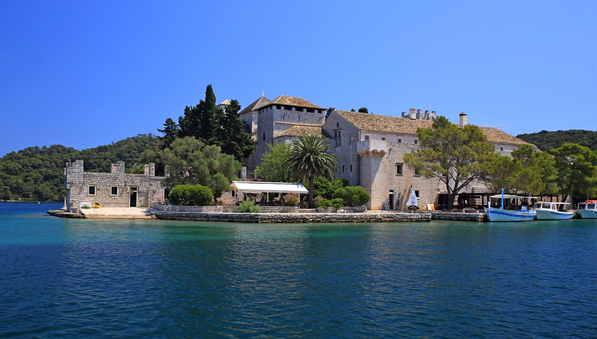 Cover of activity #17389