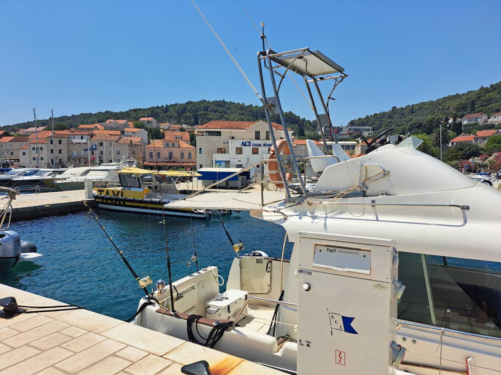 Cover of activity #28906