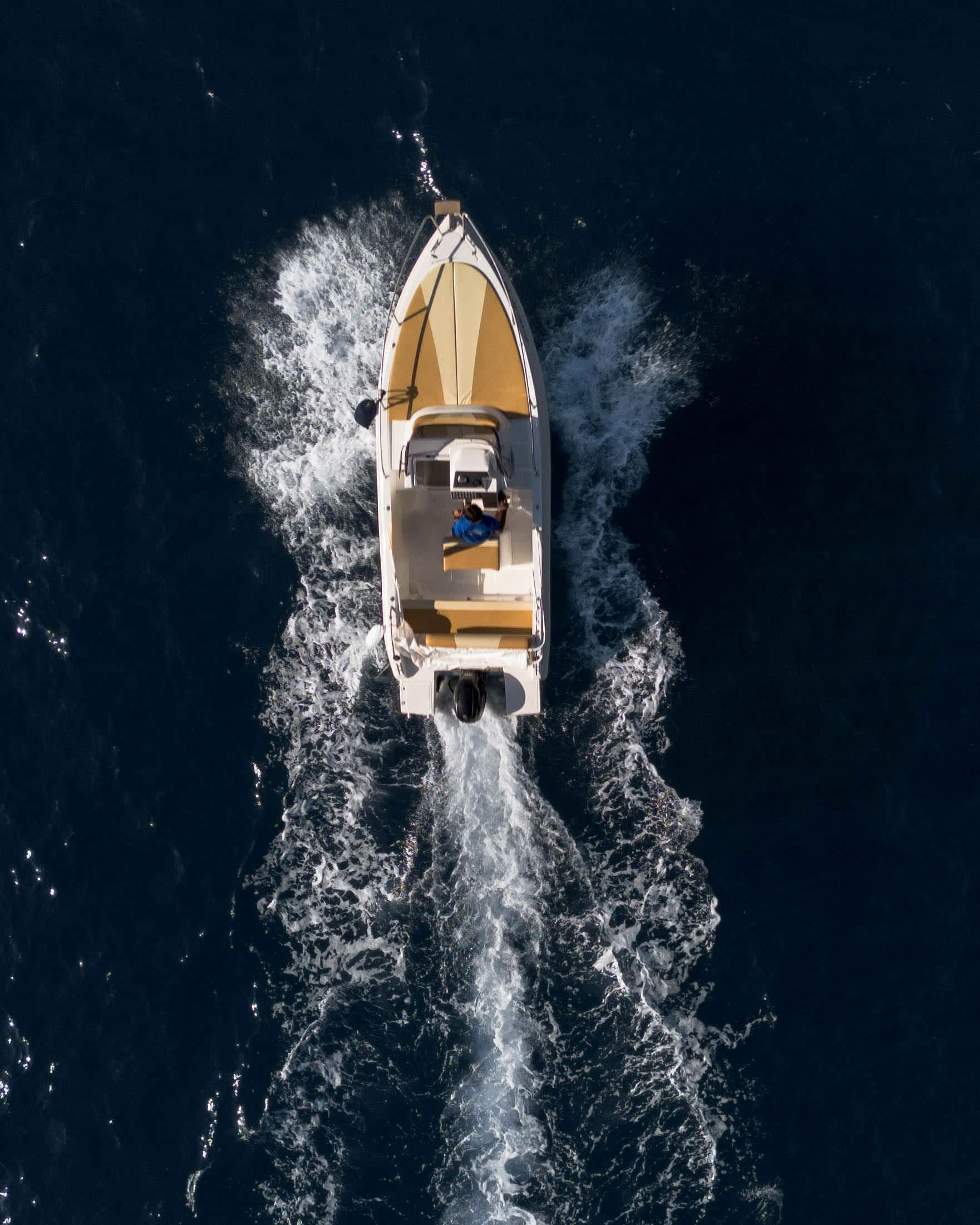 Cover of activity #18412