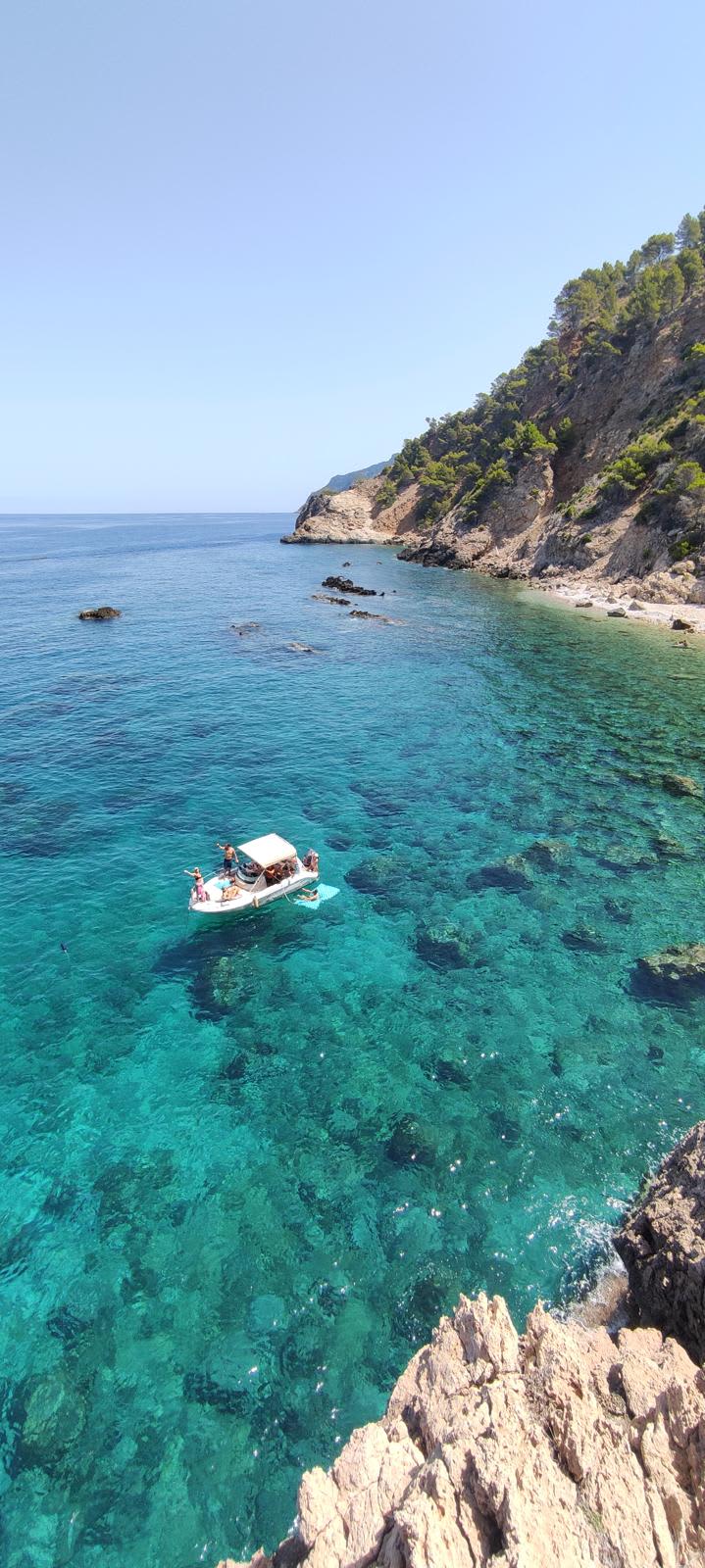 Cover of activity #5456