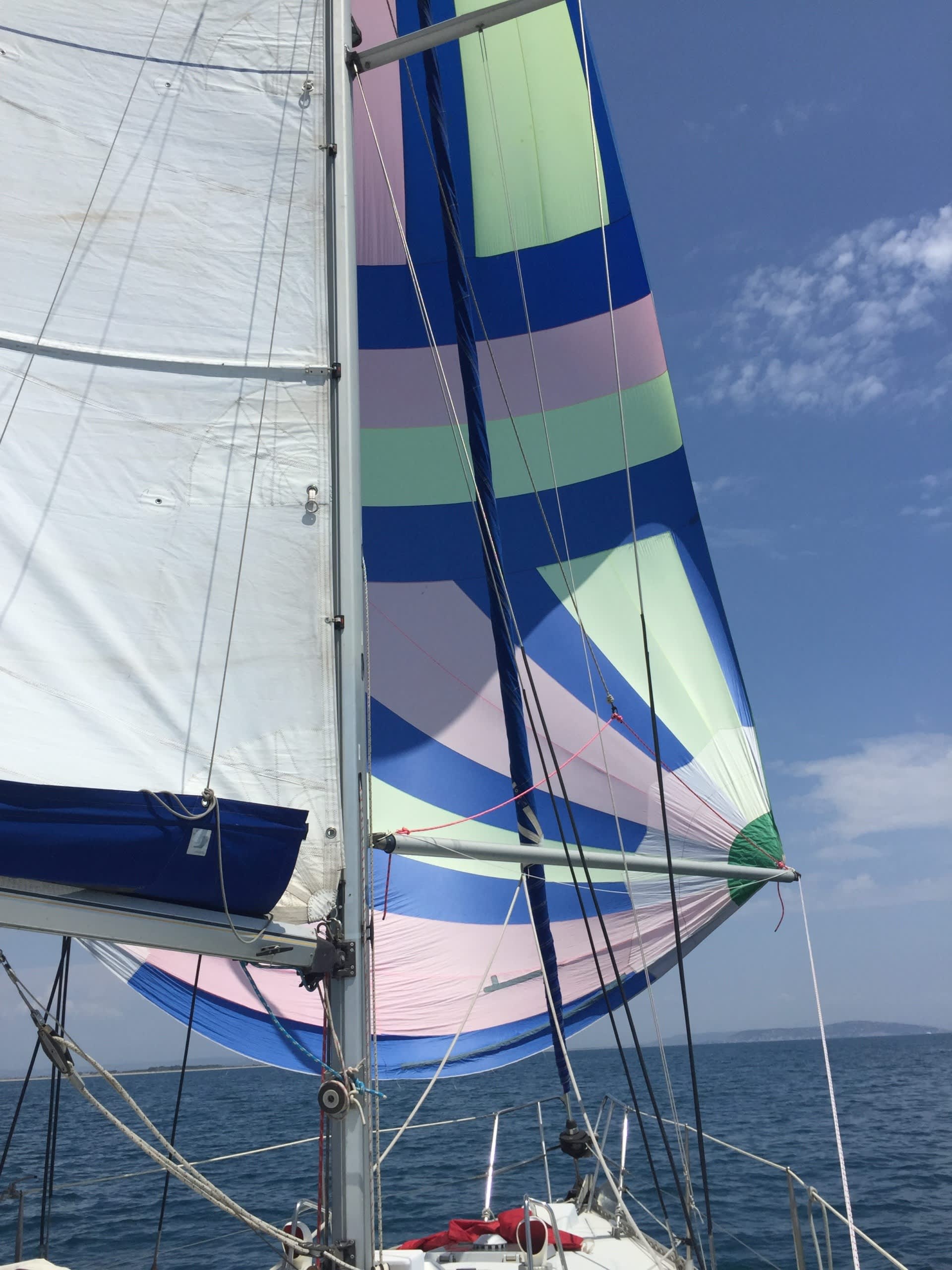 Cover of activity #28908