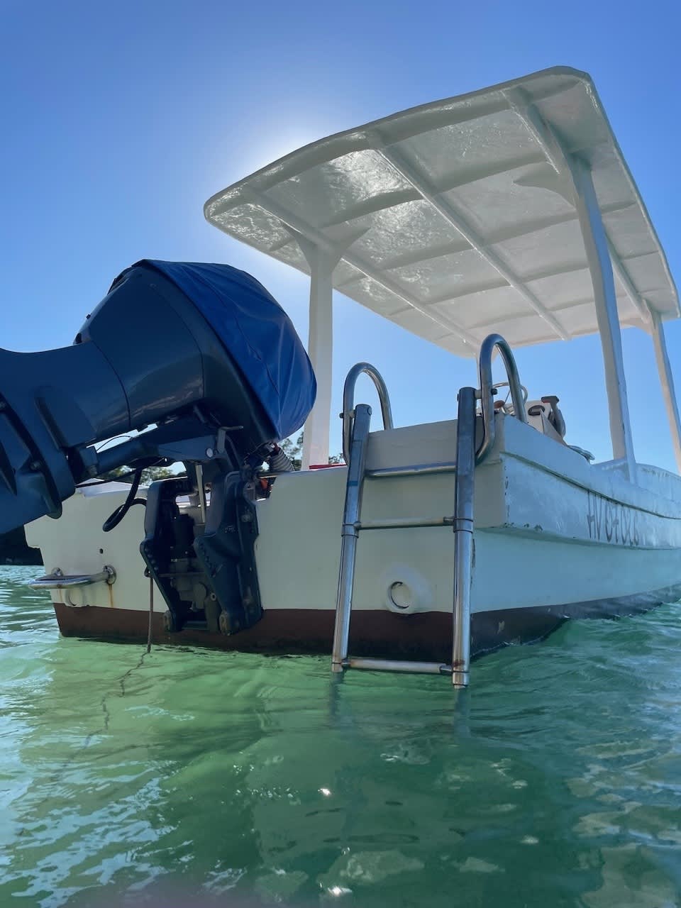 Cover of activity #24598