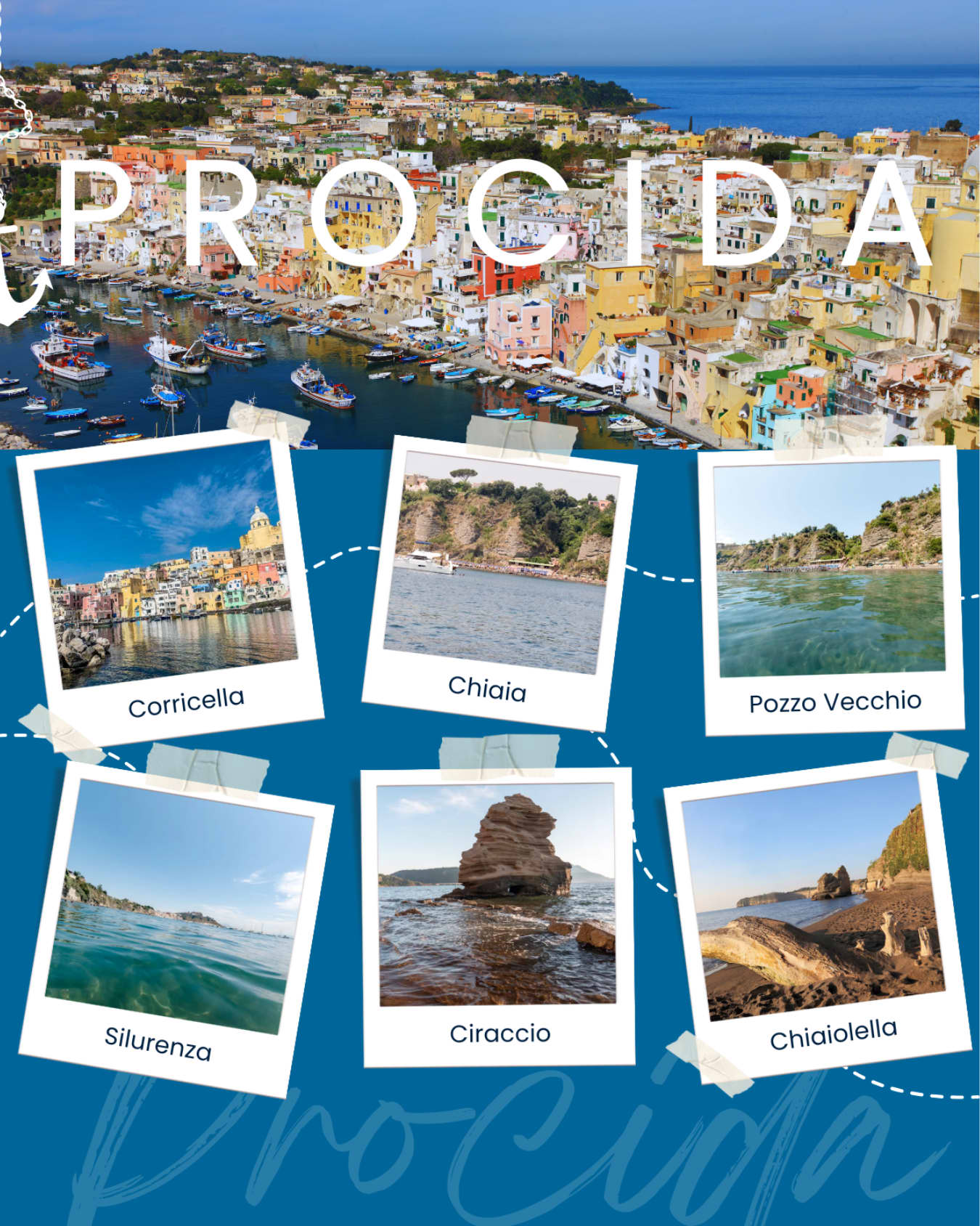 Cover of activity #8141