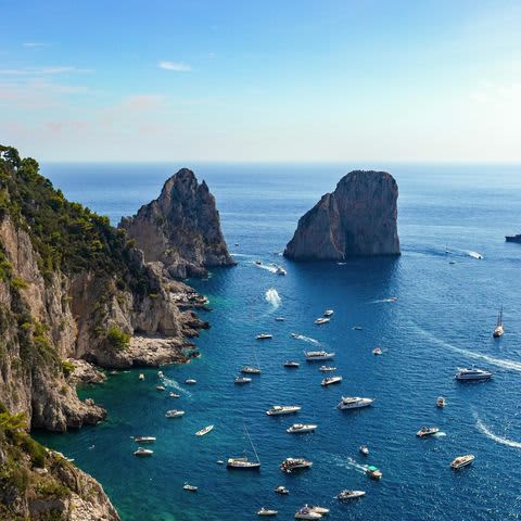 Cover of activity #4300