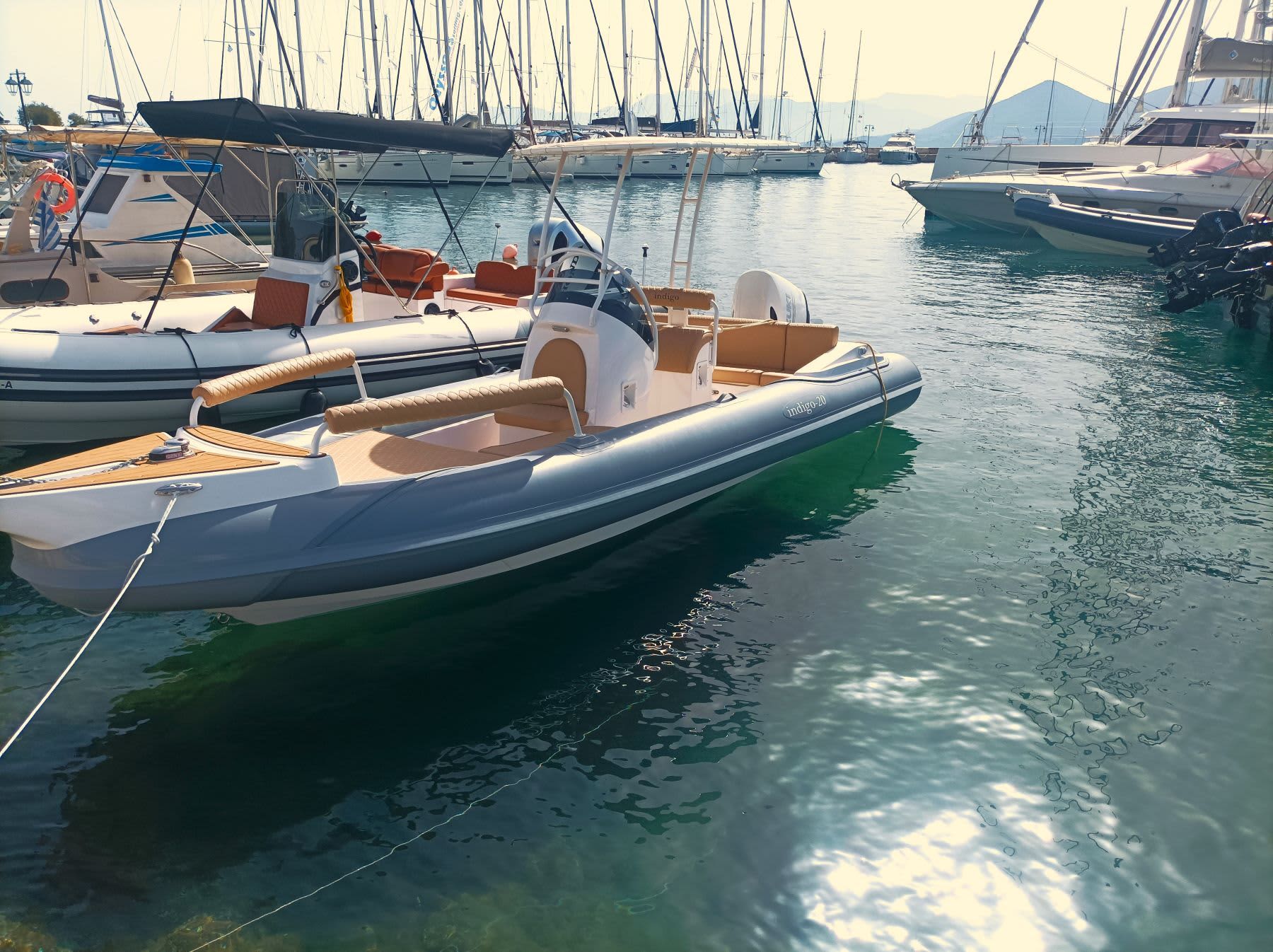 Cover of activity #24816