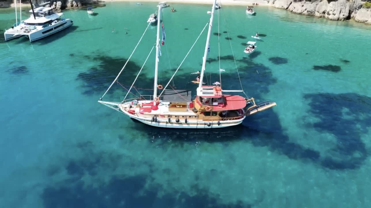 Cover of activity #24756