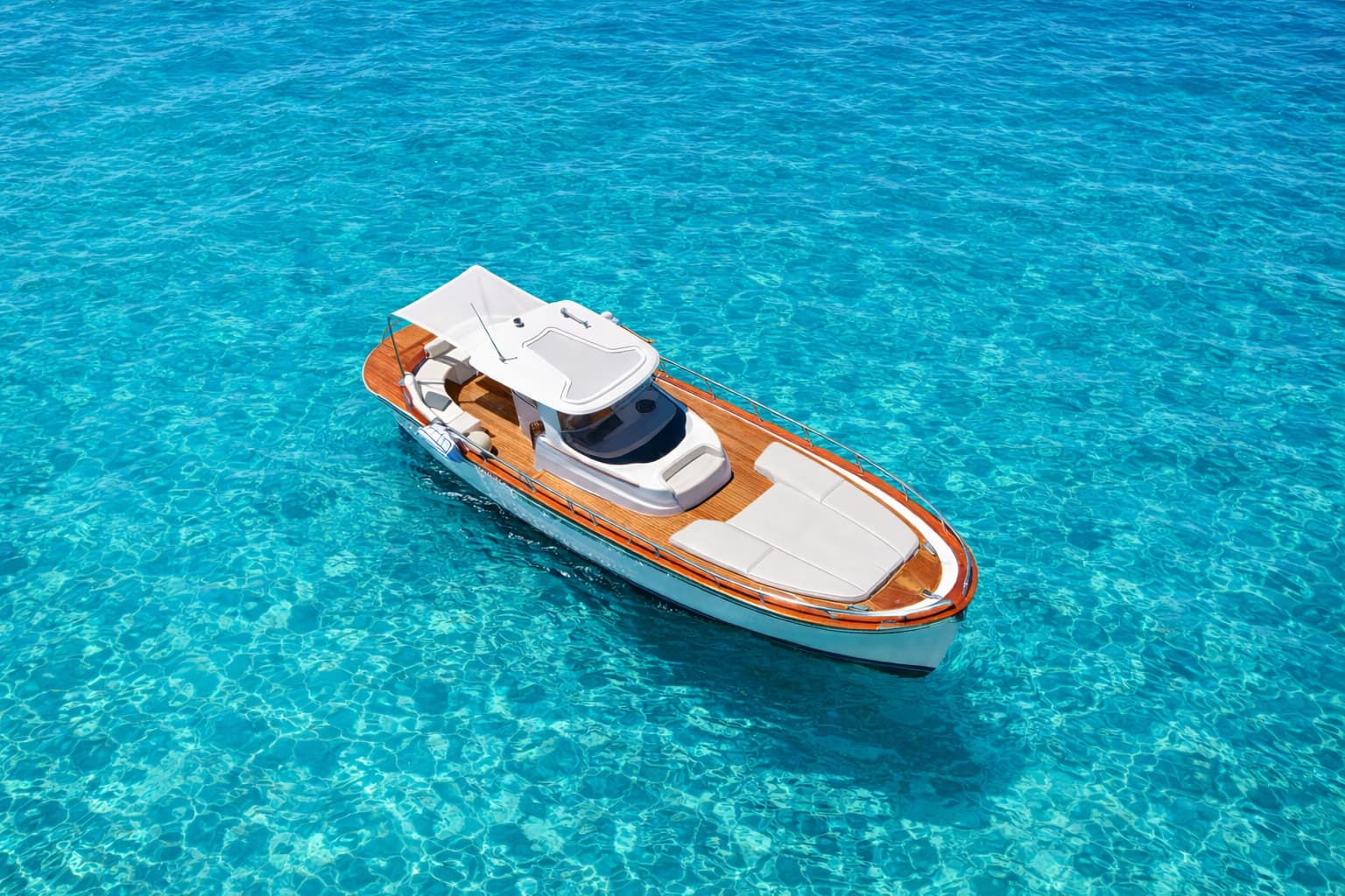 Cover of activity #19950