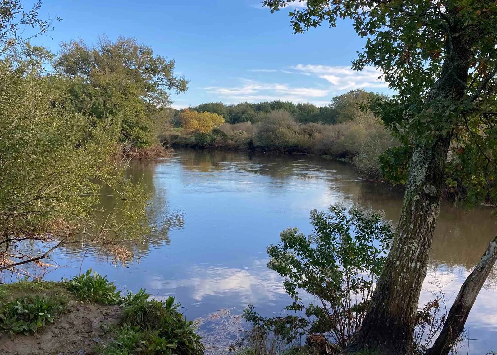 Cover of activity #10596