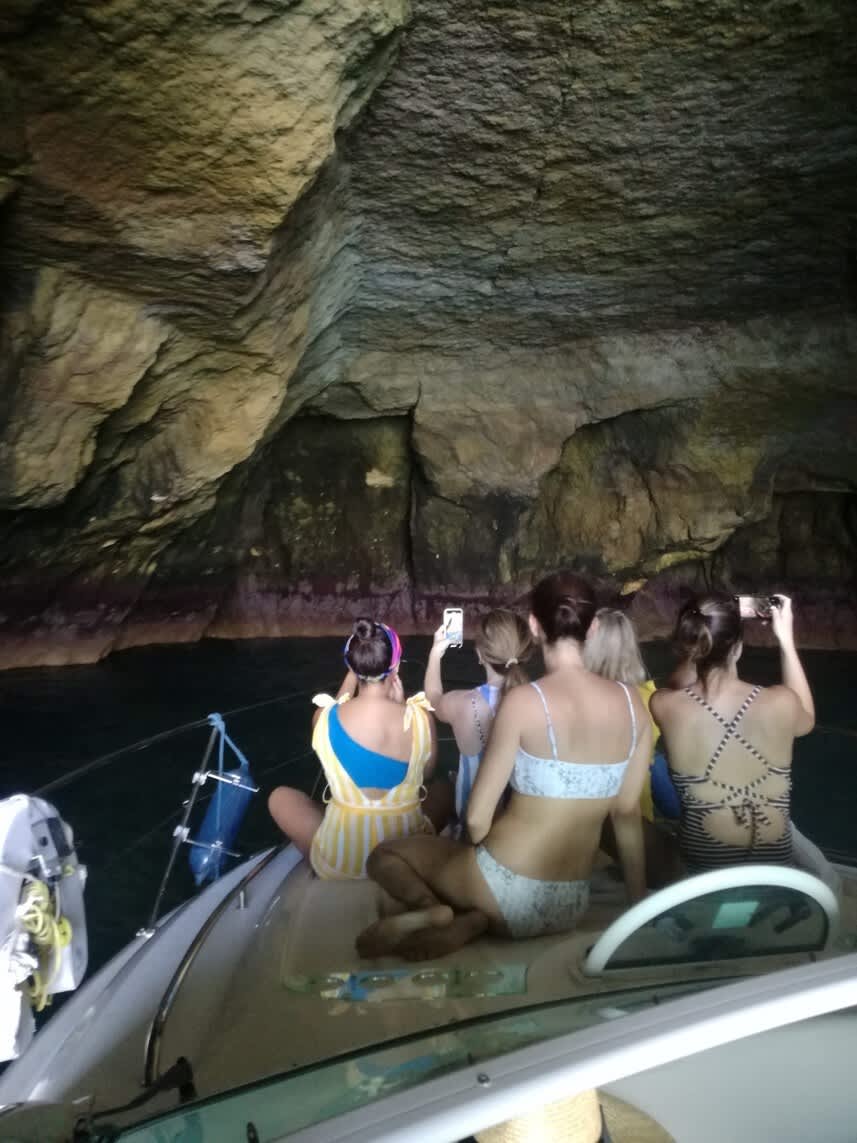 Cover of activity #15629