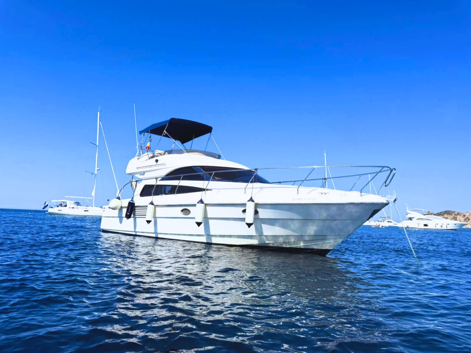 Cover of activity #19852