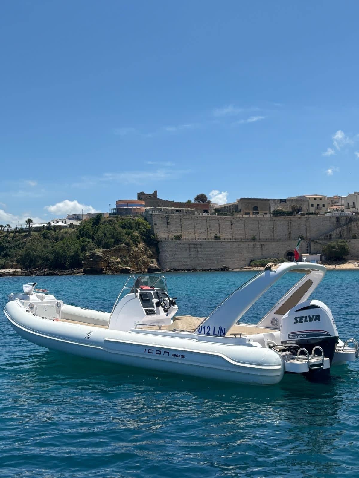 Cover of activity #20314