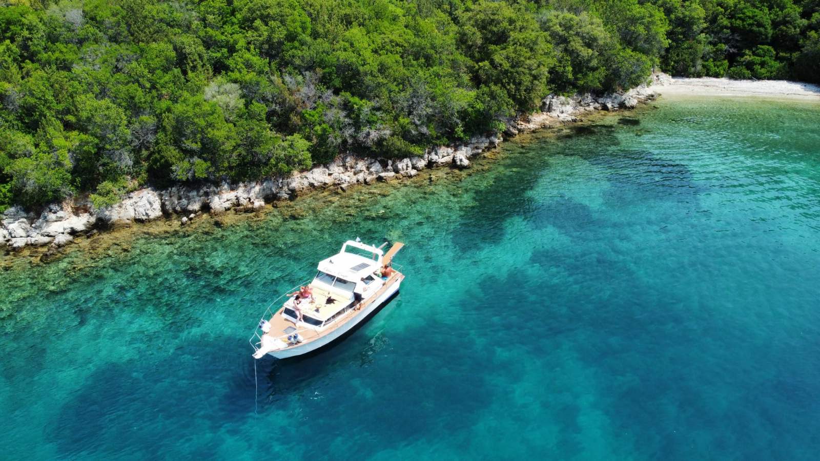 Cover of activity #9199