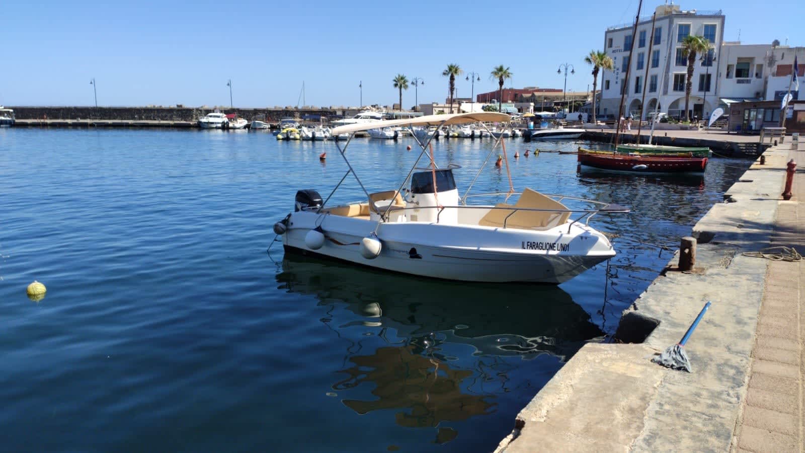 Cover of activity #24779