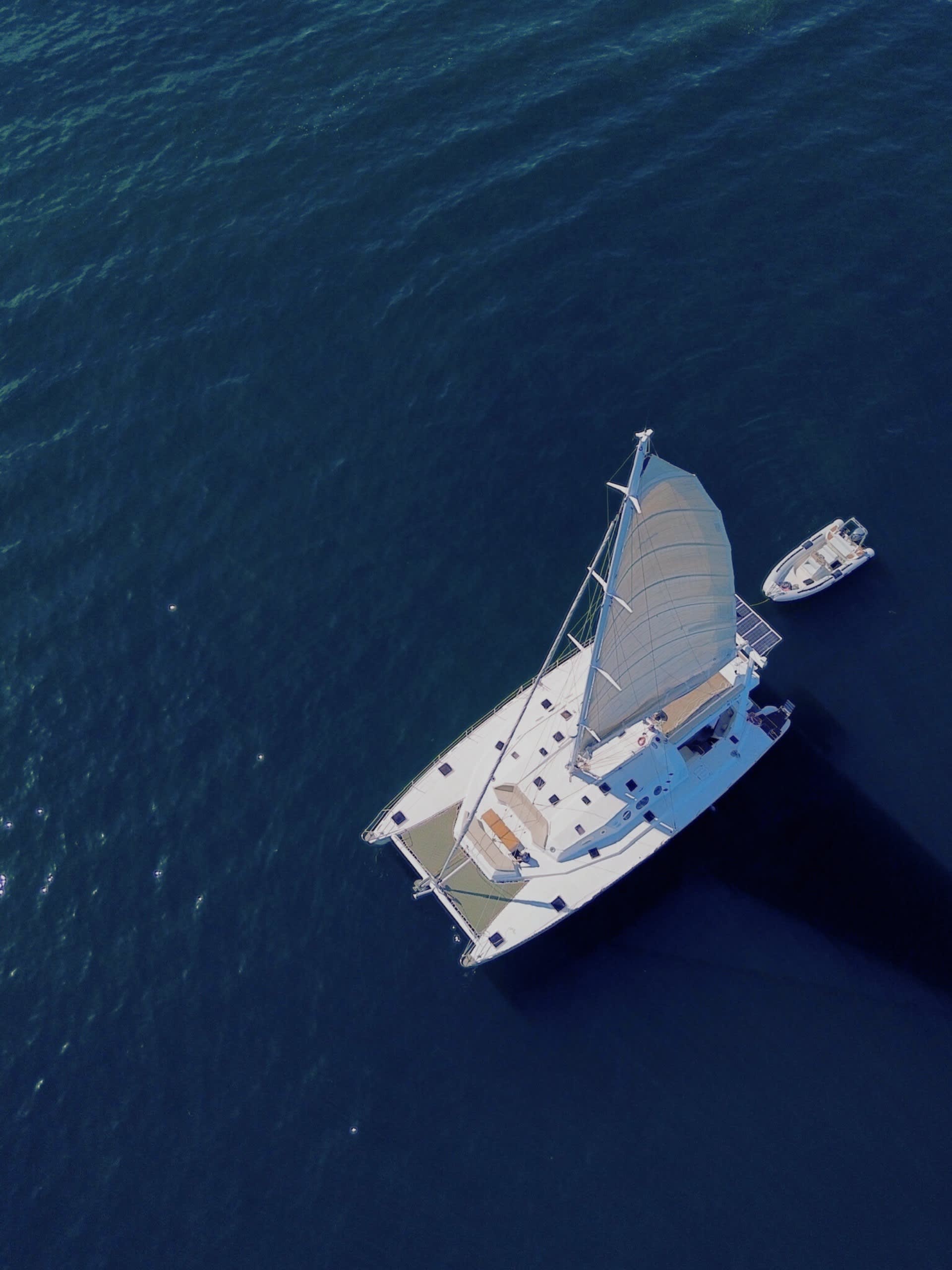 Cover of activity #29651