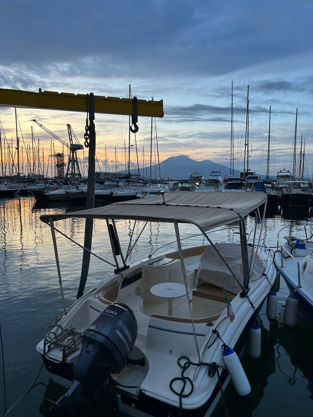 Cover of activity #25398