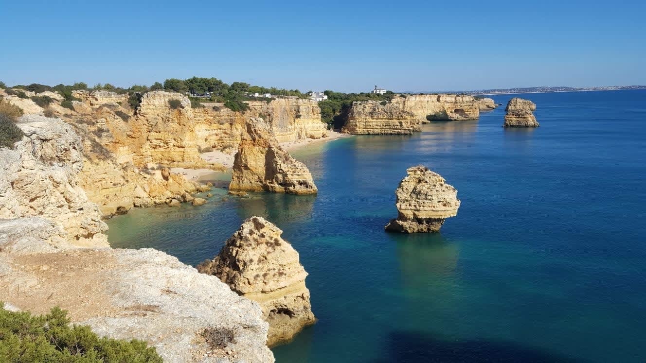 Cover of activity #25188