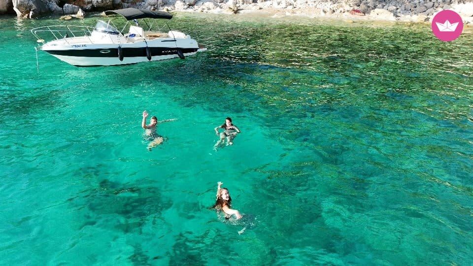 Cover of activity #5526