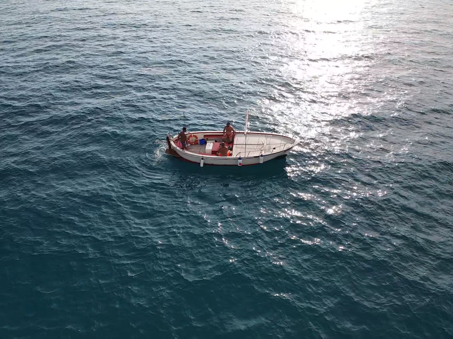 Cover of activity #16068