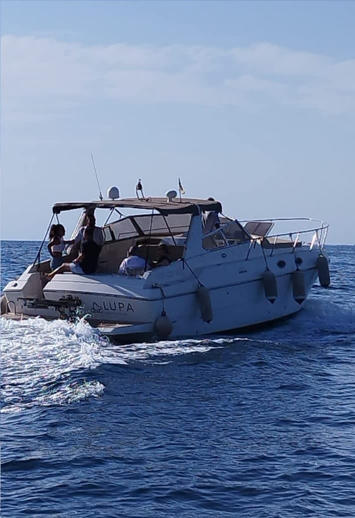 Cover of activity #25124