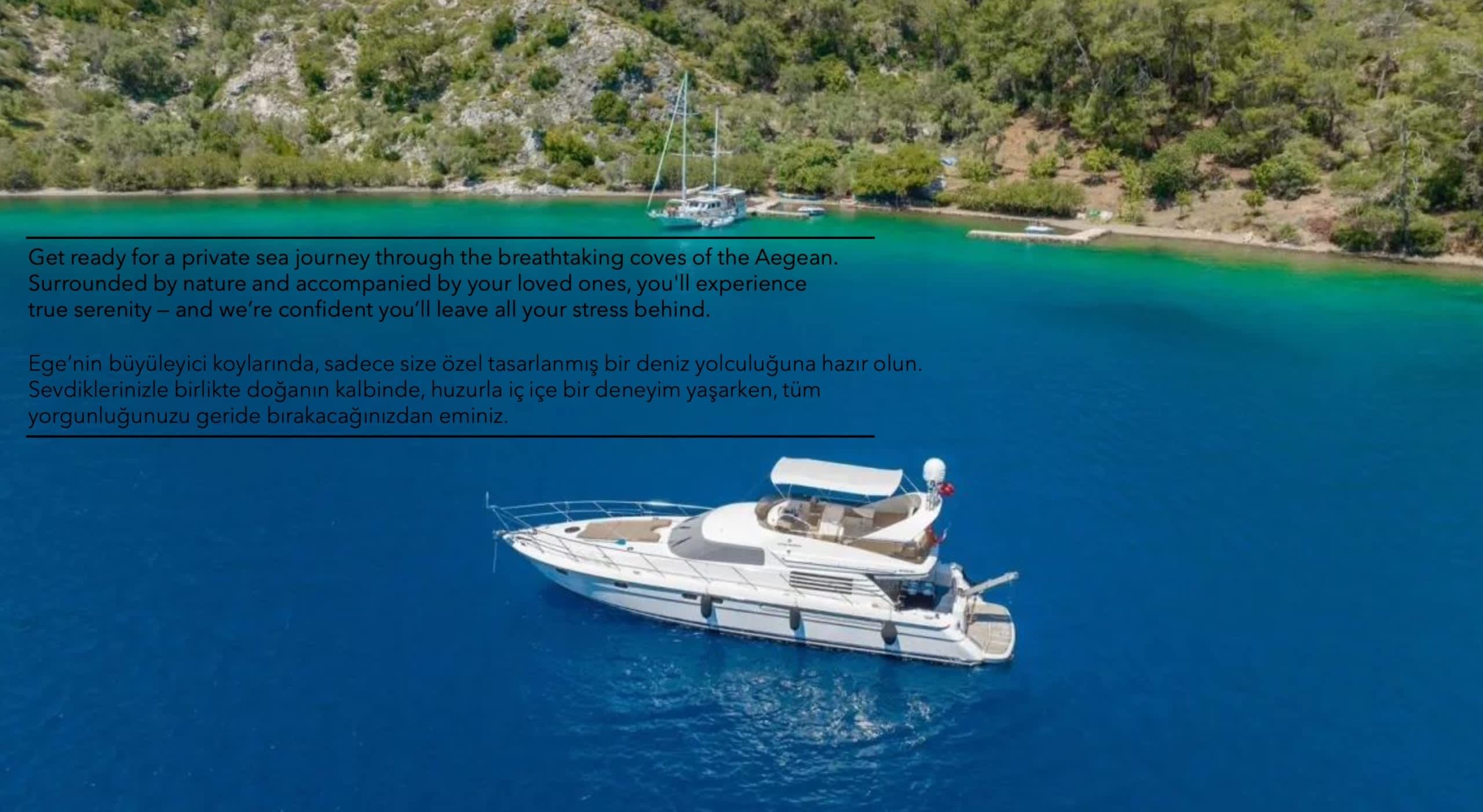 Cover of activity #29464