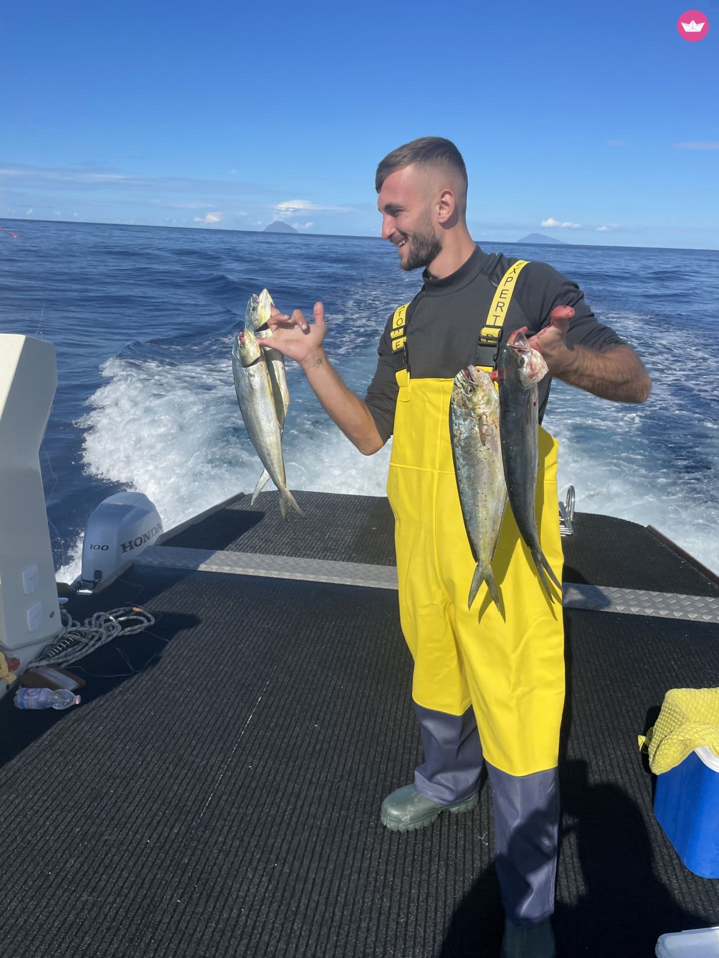 Cover of activity #18402