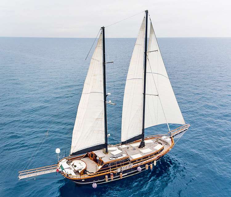 Cover of activity #7180