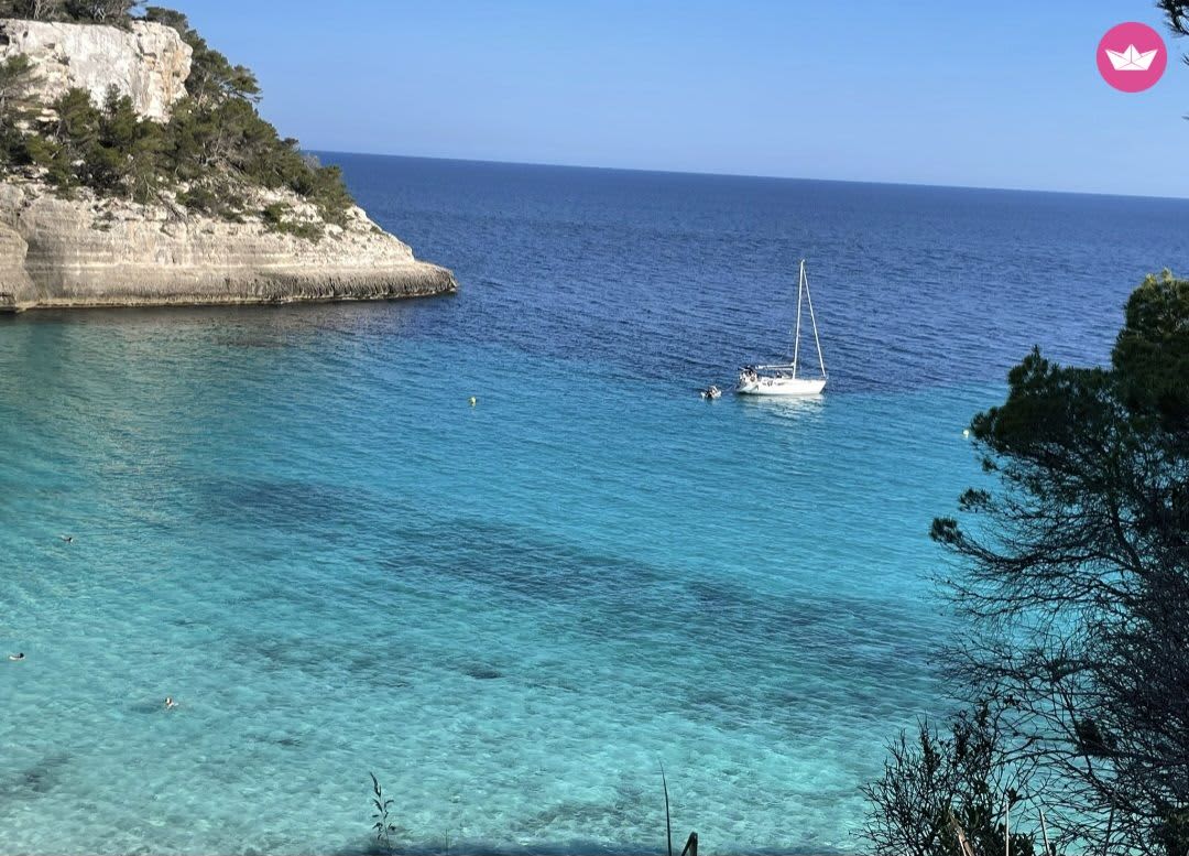 Cover of activity #20054