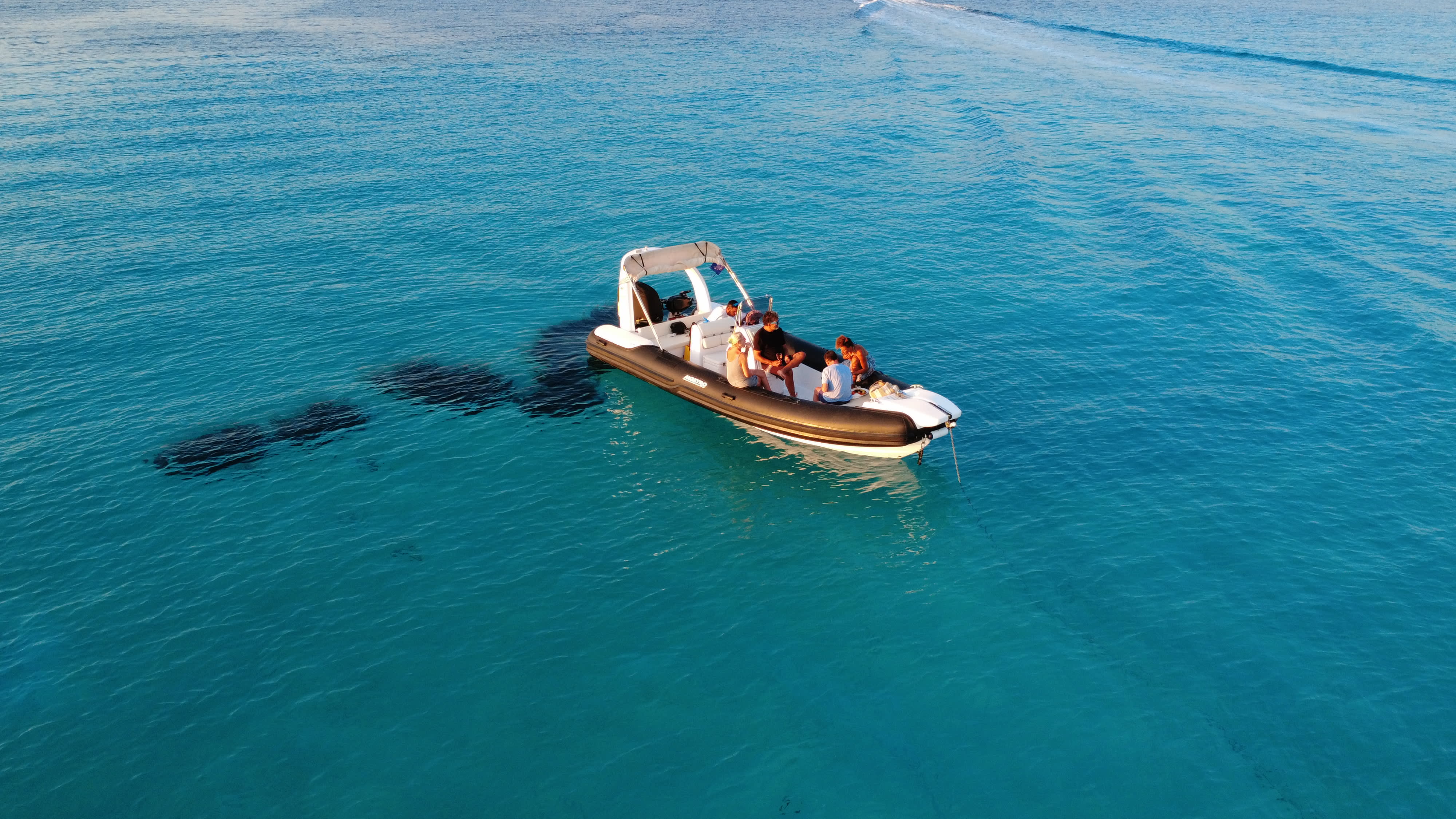 Cover of activity #15932