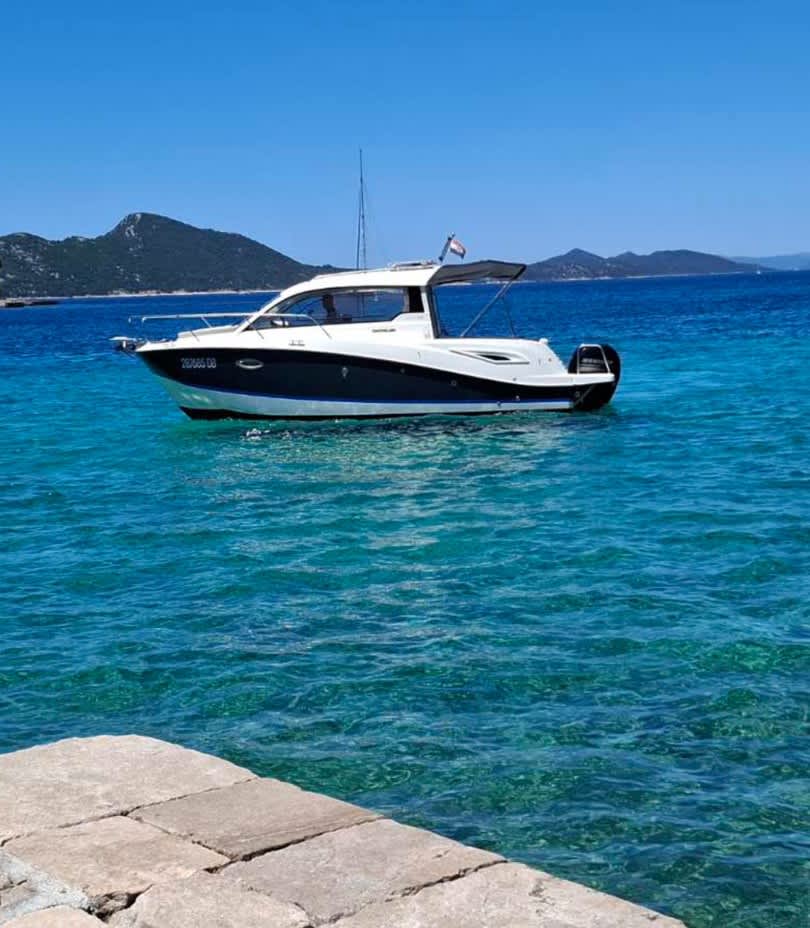 Cover of activity #24426