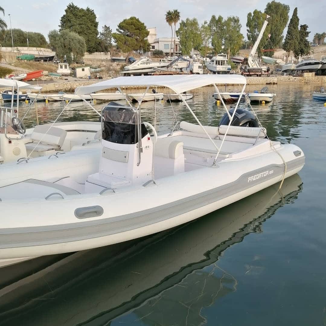 Cover of activity #24528