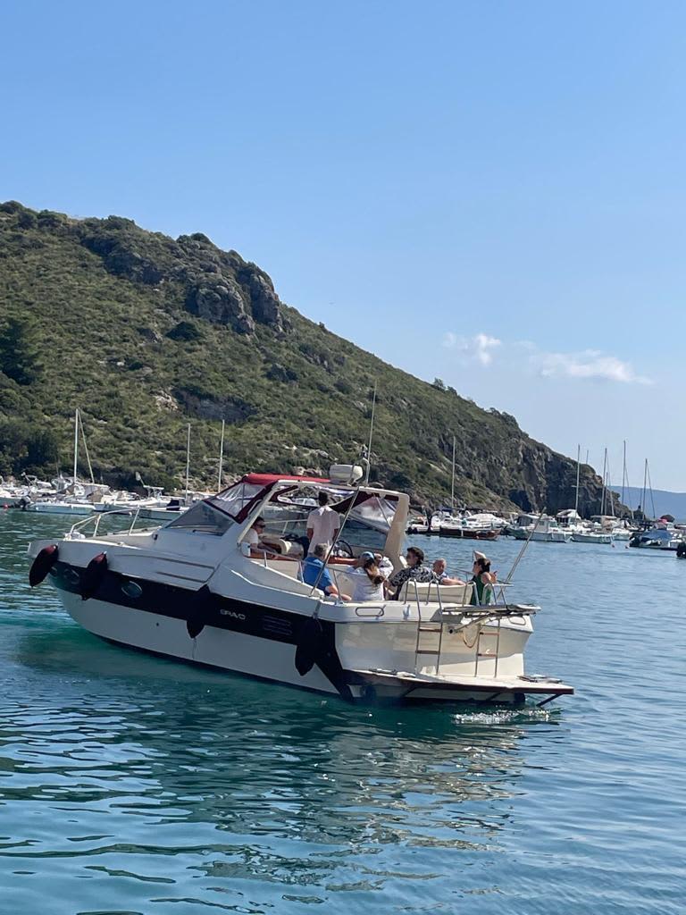 Cover of activity #28764