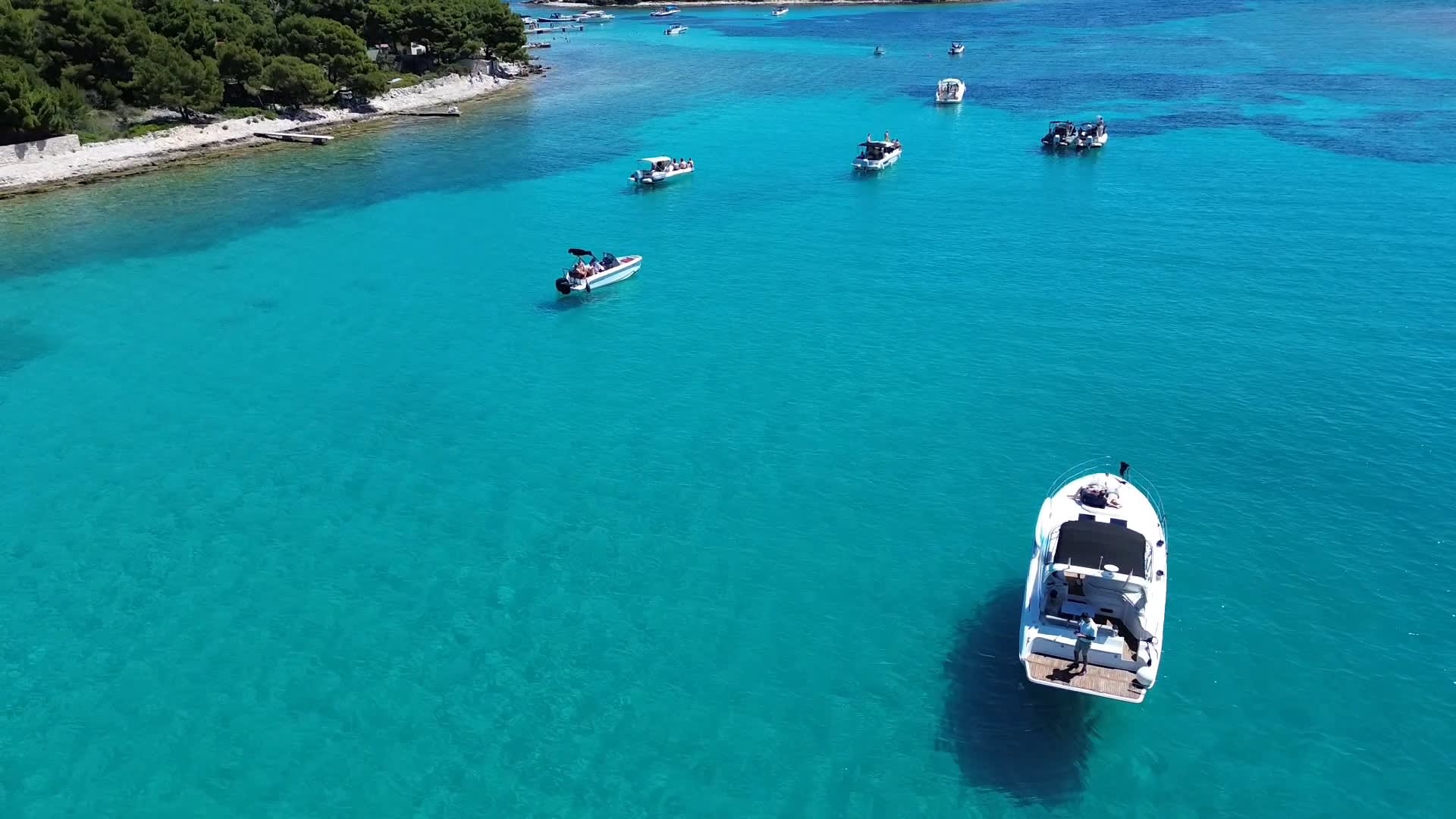 Cover of activity #10360