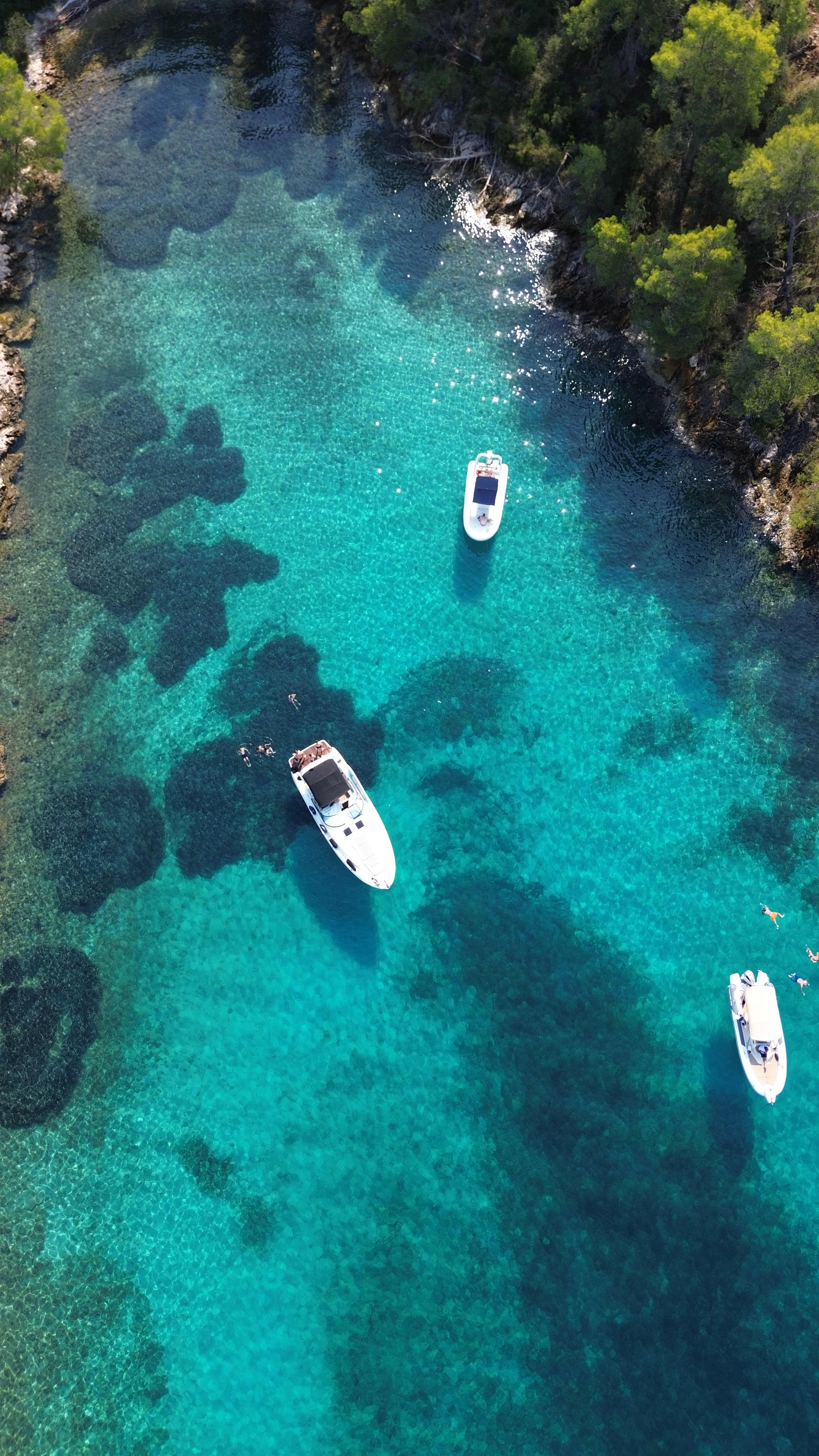 Cover of activity #10369