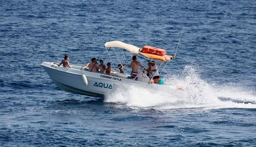 Cover of activity #4024