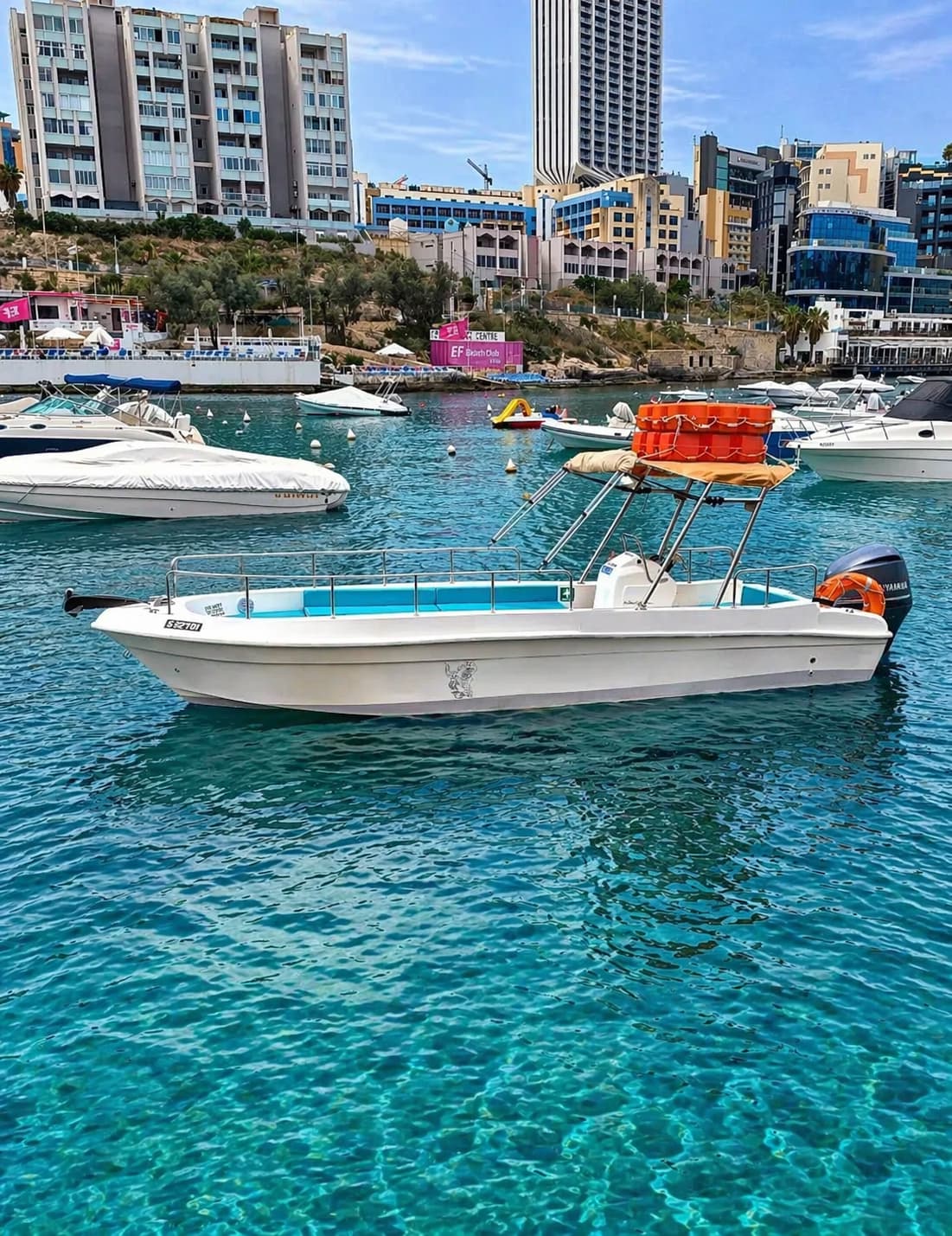 Cover of activity #4024