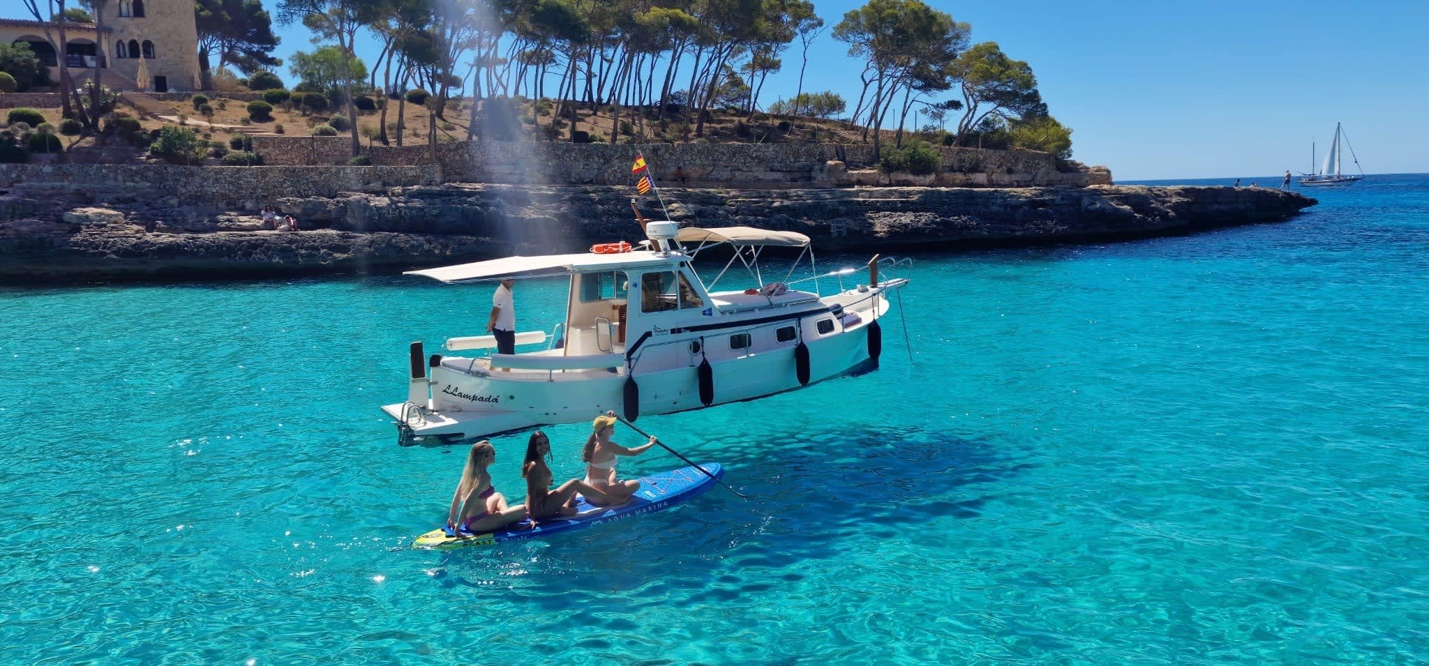 Cover of activity #28859