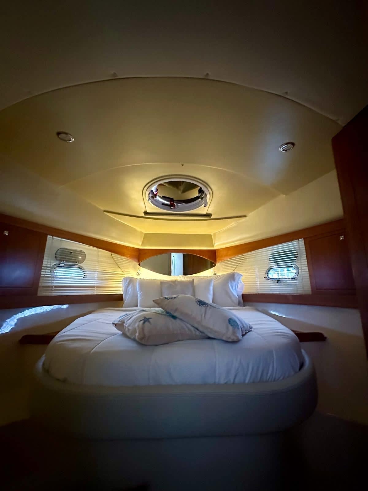 Cover of activity #25590